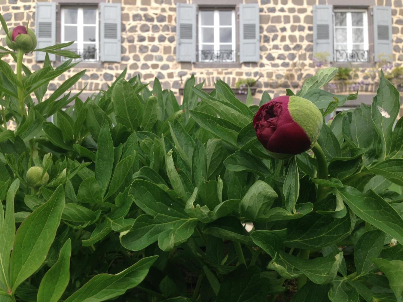 Les Jardins D'Anna - Chambres D'Hotes Tapon Luaran gambar